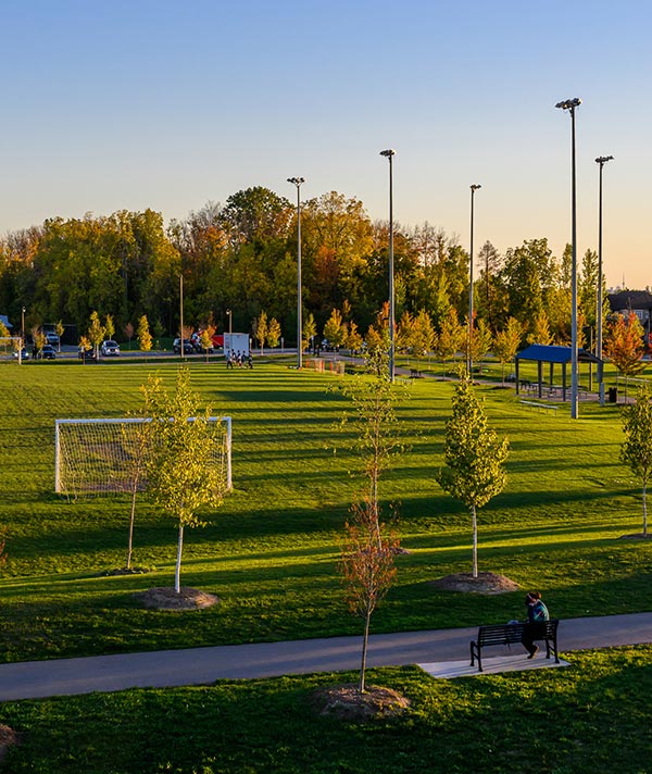 sports field